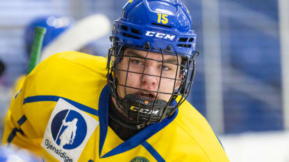 Anton Frondell #15 of Team Sweden speaks with a teammate during U18 Five Nations Tournament between Team Finland and Team USA at USA Hockey Arena on February 7, 2024 in Plymouth, Michigan. (Photo by Michael Miller/ISI Photos/Getty Images)