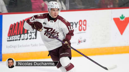 NOVOTNY BADGE DUCHARME