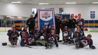 USA hockey sled 9