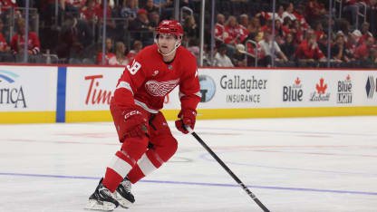 Chicago Blackhawks v Detroit Red Wings