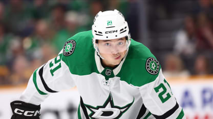 NHL vo svetle olympiády diel ôsmy