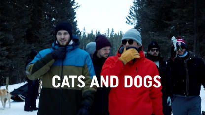 Uncaged Short Shift: Cats & Dogs