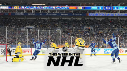 This Week in the NHL!