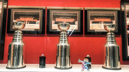 Flat_Stanley_Cup