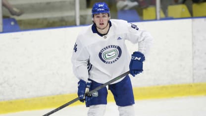 Linus Karlsson VA prospect