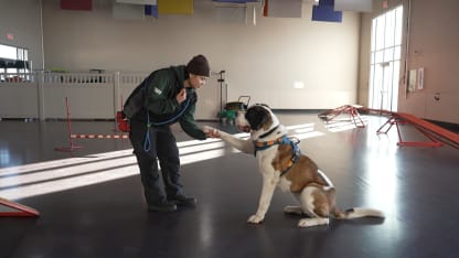 Edmonton Humane Society Visit
