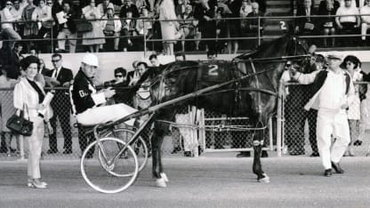 villemure 1968 horse