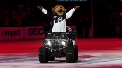 Bailey-Conference-Call-Background-V1