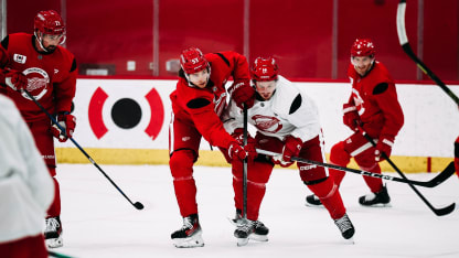 Lalonde talks fluidity, framework of Red Wings’ 2024-25 Opening Night roster