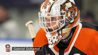 Coupe Memorial : Les Tigers unis pour Meneghin