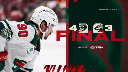 Minnesota Wild Carolina Hurricanes game recap November 6 2025