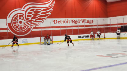 PWHL players bond with women hockey pioneers at Detroit clinic
