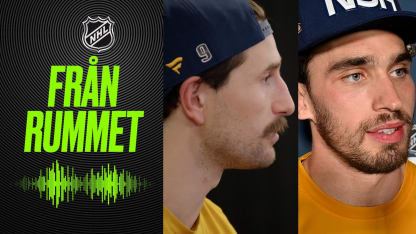 Drömkvällen i Avicii Arena