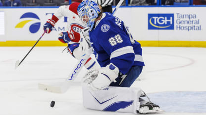 Unmasked Vasilevskiy calm