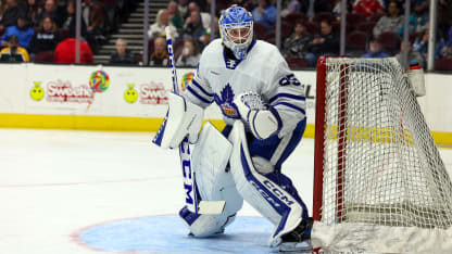 Dennis Hildeby Toronto Maple Leafs överens om kontraktsförlängning