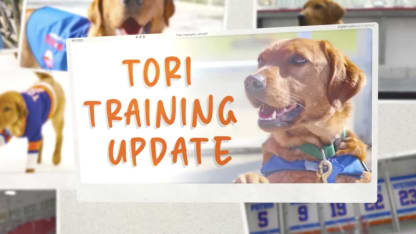 Tori Training Update: Coliseum