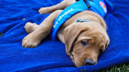 Islanders 2023 Puppy with a Purpose Unveil