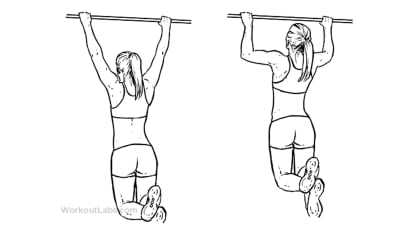 Workout Diagram Pull-Ups Women WorkoutLabs.com