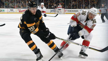 Bruins Panthers action 4117