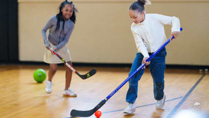 buffalo sabres resource council of wny partnership