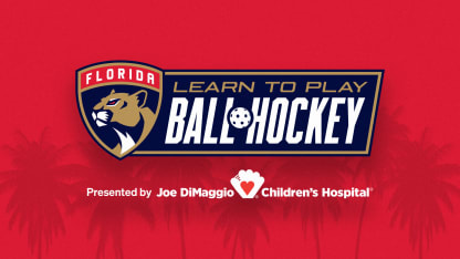 Learn To Play Ball Hockey