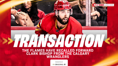 Flames Recall Clark Bishop - 23.01.25