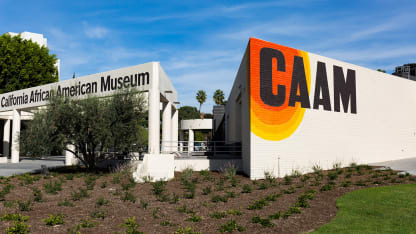 caam_home_slide_03