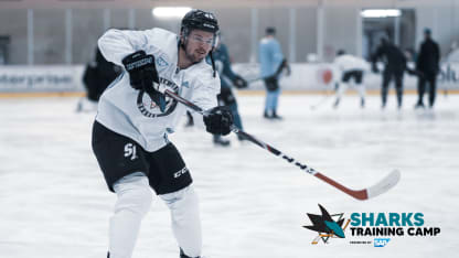 Shaping-the-Sharks-Article-1