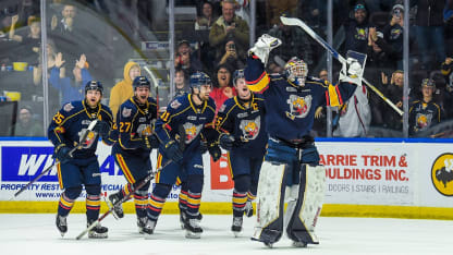 ohl goalie goal pic