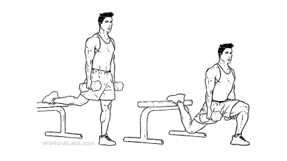 Workout diagram Split Squat Men WorkoutLabs.com