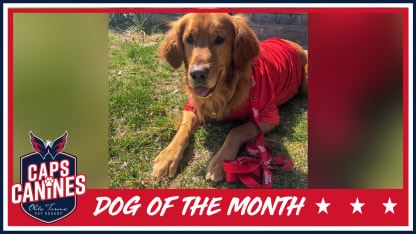 april dog of the month MW