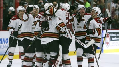 tuscon road runners 0216