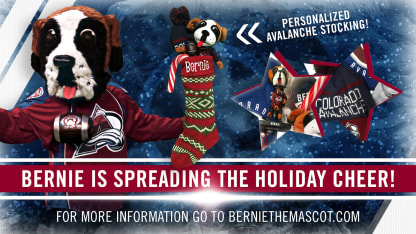 Bernie Holiday Deliveries