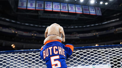 Isles Puppy with a Purpose 5.0 Named 'Butchie'