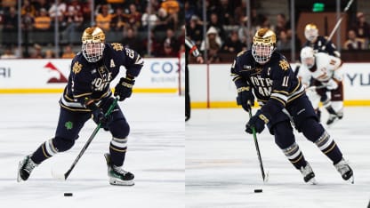 Notre Dame Knuble Nelson split