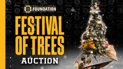 Festival of Trees Auction