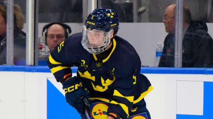 Team Slovakia v Team Sweden