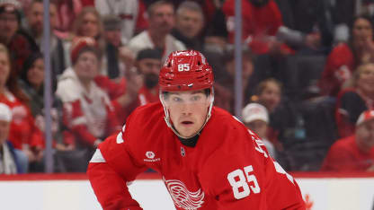 Tampa Bay Lightning v Detroit Red Wings