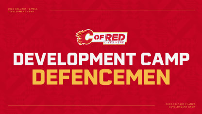 Dev Camp - Defence