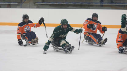 USA hockey sled 4