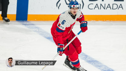 Mrtka badge Lepage 2