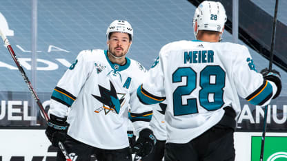hertl meier