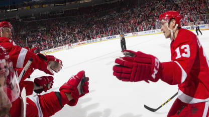 datsyuk red wings birdseye