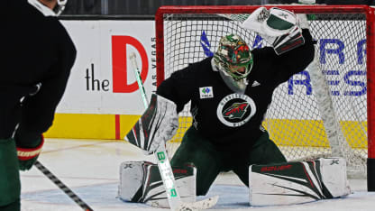 Dubnyk-032919-1