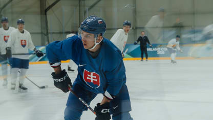 Fehérváry o novej úlohe otca 