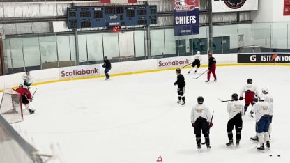 Bedard and Celebrini Training