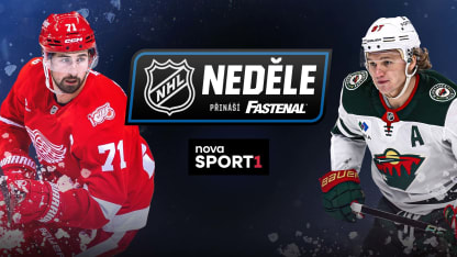 Wild na ledě Detroitu v NHL Sunday