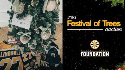 Bid On The 2025 Festival Of Trees