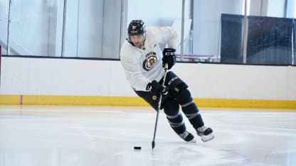 bergy