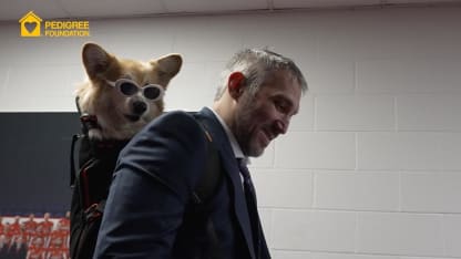 2025 Capitals Canine Night